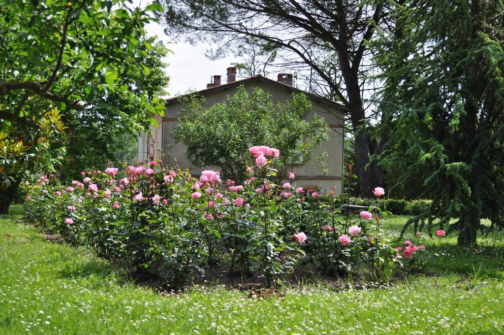 Domaine De Belcayre Panzió Montauban Kültér fotó